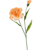 Greenmoods Kunstig blomst Nellik 40 cm fersken