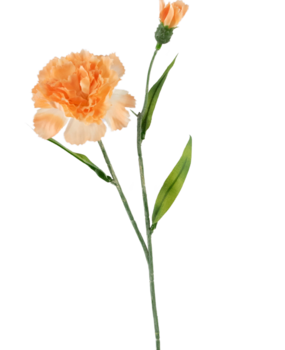 Greenmoods Kunstig blomst Nellik 40 cm fersken