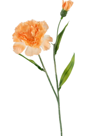 Greenmoods Kunstig blomst Nellik 40 cm fersken