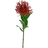 Greenmoods Kunstig blomst Protea 73 cm rød Greenmoods Kunstig blomst Protea 73 cm rød