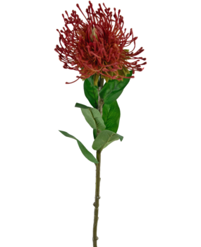 Greenmoods Kunstig blomst Protea 73 cm rød