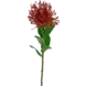 Greenmoods Kunstig blomst Protea 73 cm rød