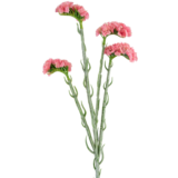 Greenmoods Kunstig Statice stilk Rosa 64cm
