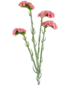 Greenmoods Kunstig Statice stilk Rosa 64cm