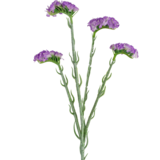 Greenmoods Kunstig Statice stilk Lavendel 64cm