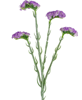 Greenmoods Kunstig Statice stilk Lavendel 64cm