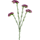 Greenmoods Kunstig Statice stilk Lilla 64cm Greenmoods Kunstig Statice stilk Lilla 64cm