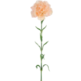 Greenmoods Kunstig Nellikblomst Lysrosa 69cm Greenmoods Kunstig Nellikblomst Lysrosa 69cm