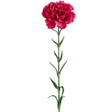 Greenmoods Kunstig Nellikblomst Rosa 69cm