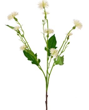 Greenmoods Kunstig Daisy Hvit 54cm