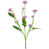 Greenmoods Kunstig Daisy Syrin 54cm Greenmoods Kunstig Daisy Syrin 54cm