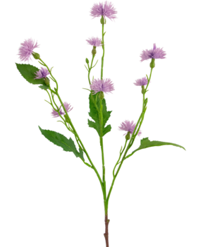 Greenmoods Kunstig Daisy Syrin 54cm