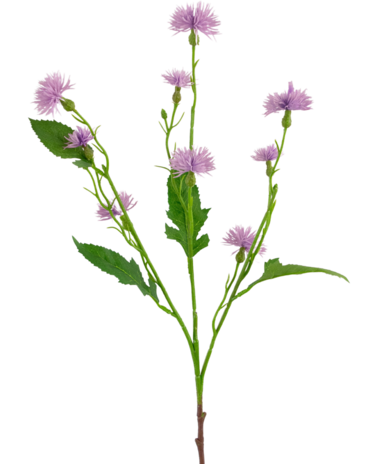 Greenmoods Kunstig Daisy Syrin 54cm