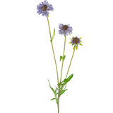 Greenmoods Kunstig Scabiosa stilk Lavendel 63cm Greenmoods Kunstig Scabiosa stilk Lavendel 63cm