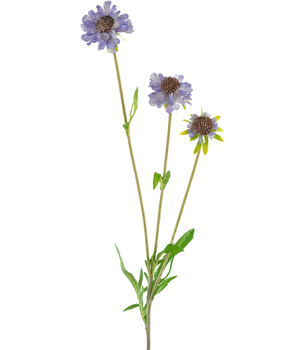 Greenmoods Kunstig Scabiosa stilk Lavendel 63cm Greenmoods Kunstig Scabiosa stilk Lavendel 63cm