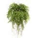 Greenmoods Kunstig Hengende Bregne Rot D55cm
