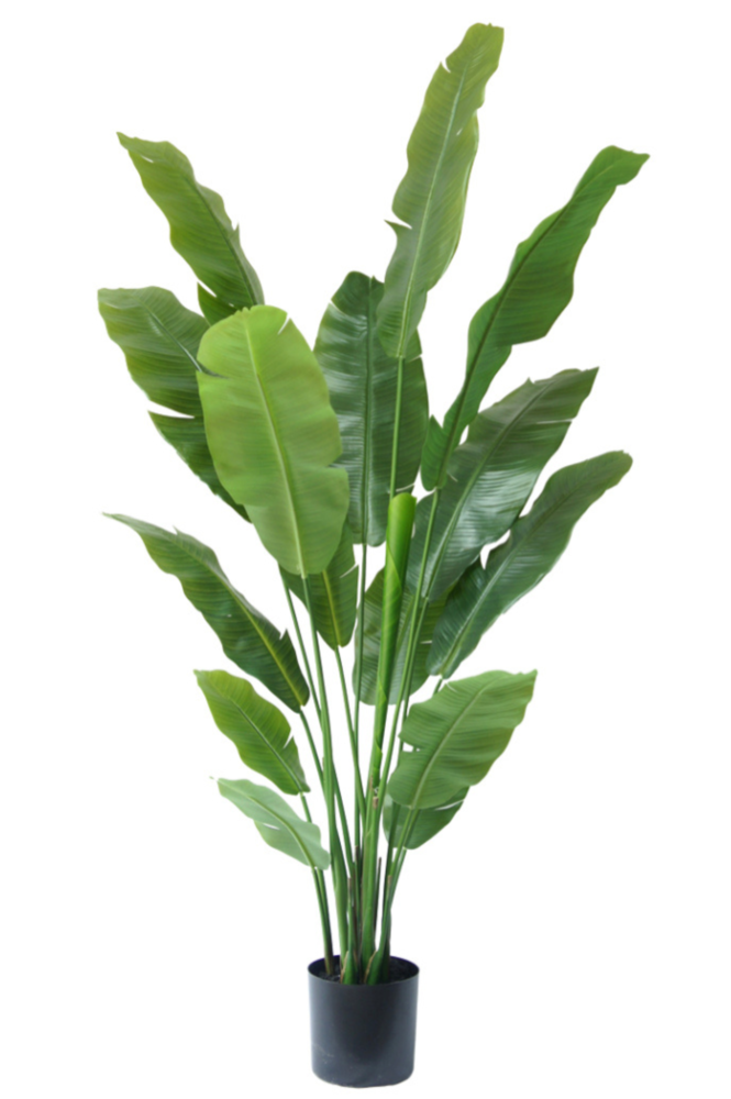 Greenmoods Kunstig Strelitzia Nicolai Deluxe 195 cm