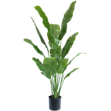Greenmoods Kunstig Strelitzia Nicolai Deluxe 165 cm