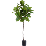 Greenmoods Kunstige Fiolin fiken 180cm Greenmoods Kunstige Fiolin fiken 180cm