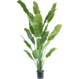Greenmoods Kunstig Strelitzia Nicolai Deluxe 210cm Greenmoods Kunstig Strelitzia Nicolai Deluxe 210cm