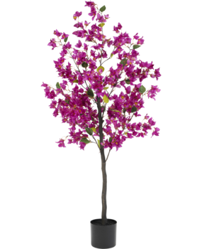 Greenmoods Kunstig Bougainvillea Tre Lilla 155cm Greenmoods Kunstig Bougainvillea Tre Lilla 155cm