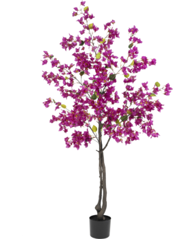Greenmoods Kunstig Bougainvillea Tre Lilla 180cm Greenmoods Kunstig Bougainvillea Tre Lilla 180cm