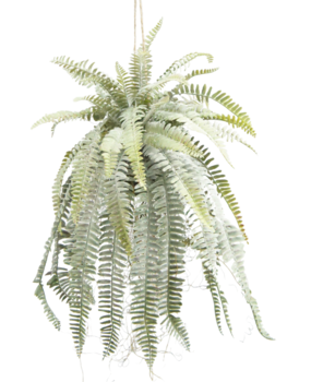 Greenmoods Kunstig hengende plante Frosted Fern på kule 97 cm Greenmoods Kunstig hengende plante Frosted Fern på kule 97 cm
