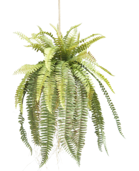 Greenmoods Kunstig hengende plante Bregne på kule 97 cm Greenmoods Kunstig hengende plante Bregne på kule 97 cm