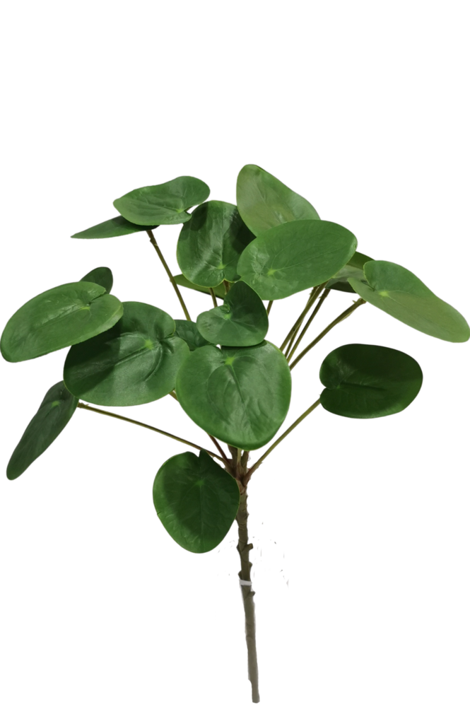 Greenmoods Kunstig Pilea Pengeplante 50 cm