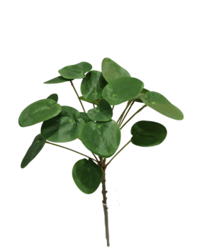 Greenmoods Kunstig Pilea Pengeplante 50 cm Greenmoods Kunstig Pilea Pengeplante 50 cm