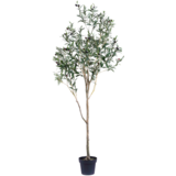 Greenmoods Kunstig Oliventre 180cm