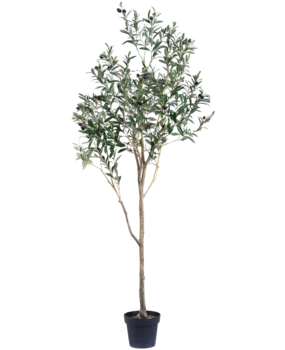 Greenmoods Kunstig Oliventre 180cm