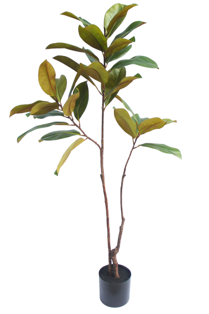 Greenmoods Kunstig plante Yulania tre 120 cm