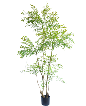 Greenmoods Kunstig plante Ruscus 180 cm