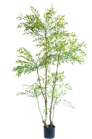 Greenmoods Kunstig plante Ruscus 180 cm