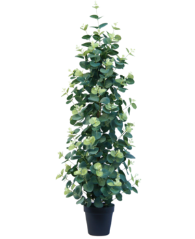 Greenmoods Kunstig plante Eucalyptus 91 cm Greenmoods Kunstig plante Eucalyptus 91 cm