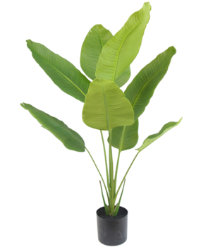 Greenmoods Kunstig Strelitzia Real Touch 120cm Greenmoods Kunstig Strelitzia Real Touch 120cm