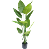 Greenmoods Kunstig Strelitzia Real Touch 180cm