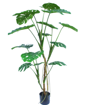 Greenmoods Kunstig plante Monstera 150 cm Greenmoods Kunstig plante Monstera 150 cm