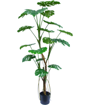 Greenmoods Kunstig plante Monstera 180 cm Greenmoods Kunstig plante Monstera 180 cm