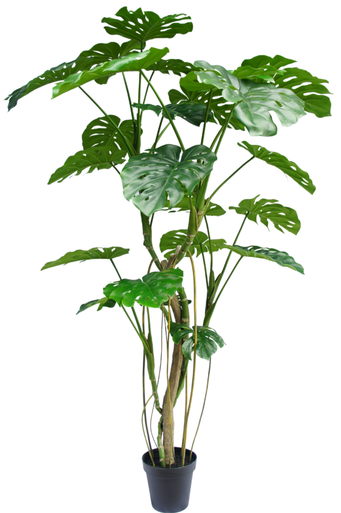 Greenmoods Kunstig plante Monstera 210 cm