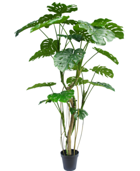 Greenmoods Kunstig plante Monstera 210 cm
