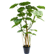 Greenmoods Kunstig plante Monstera 240 cm