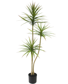 Greenmoods Kunstig plante Dracaena Fragnans 150 cm Greenmoods Kunstig plante Dracaena Fragnans 150 cm