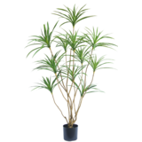Greenmoods Kunstig Plante Dracaena 150cm