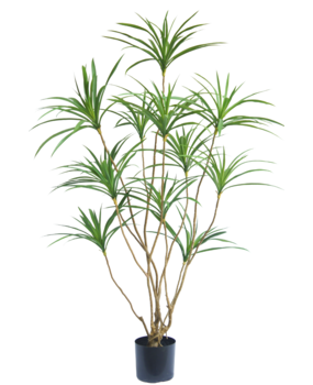 Greenmoods Kunstig Plante Dracaena 150cm