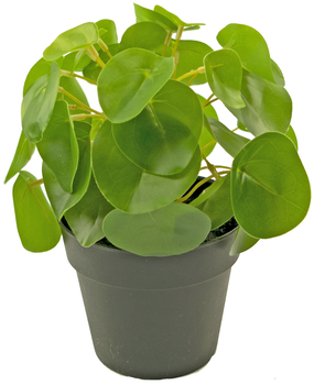 Greenmoods Kunstig Pengeplante 20 cm Greenmoods Kunstig Pengeplante 20 cm