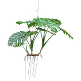Greenmoods Kunstig hengende plante Monstera 130 cm XL Greenmoods Kunstig hengende plante Monstera 130 cm XL