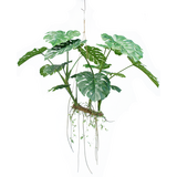 Greenmoods Kunstig hengende plante Monstera 160 cm XXL Greenmoods Kunstig hengende plante Monstera 160 cm XXL