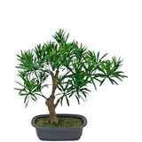 Greenmoods Kunstig Bonsai Podocarpus 30cm Greenmoods Kunstig Bonsai Podocarpus 30cm